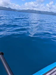 田沢湖アウトドアツアーに投稿された画像（2026/9/26）