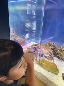 大分マリーンパレス水族館 「うみたまご」に投稿された画像（2026/9/27）