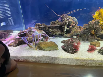 大分マリーンパレス水族館 「うみたまご」に投稿された画像（2026/9/27）