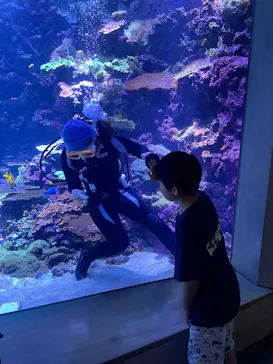 大分マリーンパレス水族館 「うみたまご」に投稿された画像（2026/9/27）