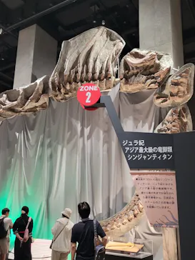 福井県立恐竜博物館に投稿された画像（2026/9/27）