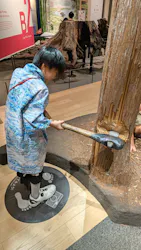 滋賀県立琵琶湖博物館に投稿された画像（2026/9/27）