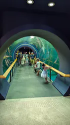 滋賀県立琵琶湖博物館に投稿された画像（2026/9/27）