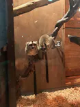伊豆シャボテン動物公園に投稿された画像（2026/9/27）