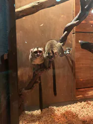 伊豆シャボテン動物公園に投稿された画像（2026/9/27）