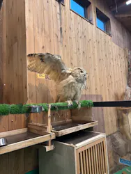 伊豆シャボテン動物公園に投稿された画像（2026/9/27）