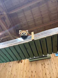伊豆シャボテン動物公園に投稿された画像（2026/9/27）