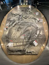 福井県立恐竜博物館に投稿された画像（2026/9/27）