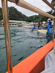 下田海中水族館に投稿された画像（2026/9/27）