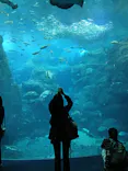 新江ノ島水族館に投稿された画像（2026/9/27）