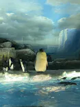 名古屋港水族館に投稿された画像（2026/9/27）