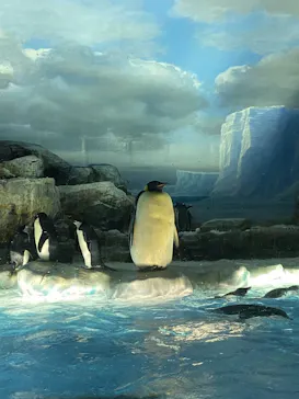 名古屋港水族館に投稿された画像（2026/9/27）