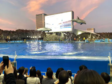 名古屋港水族館に投稿された画像（2026/9/27）