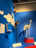 特別展「いきもの超ワールド展　国立科学博物館×ダーウィンが来た！」（国立科学博物館）に投稿された画像（2026/9/27）