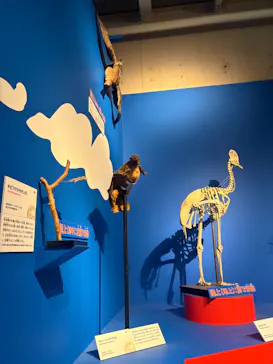 特別展「いきもの超ワールド展　国立科学博物館×ダーウィンが来た！」（国立科学博物館）に投稿された画像（2026/9/27）