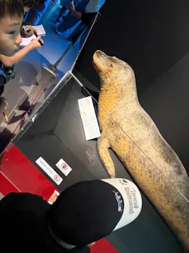 特別展「いきもの超ワールド展　国立科学博物館×ダーウィンが来た！」（国立科学博物館）に投稿された画像（2026/9/27）
