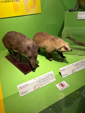 特別展「いきもの超ワールド展　国立科学博物館×ダーウィンが来た！」（国立科学博物館）に投稿された画像（2026/9/27）