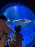 のとじま水族館に投稿された画像（2026/9/27）