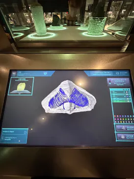 福井県立恐竜博物館に投稿された画像（2026/9/27）