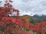 つがいけマウンテンリゾートに投稿された画像（2026/9/27）