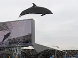 名古屋港水族館に投稿された画像（2026/9/27）