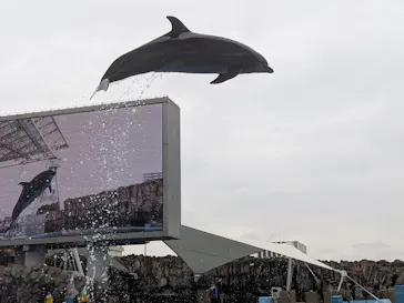 名古屋港水族館に投稿された画像（2026/9/27）