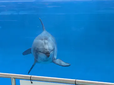 名古屋港水族館に投稿された画像（2026/9/27）