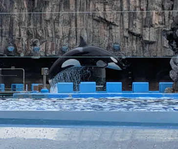 名古屋港水族館に投稿された画像（2026/9/27）