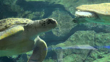名古屋港水族館に投稿された画像（2026/9/27）