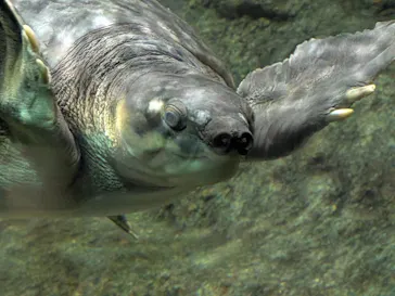 名古屋港水族館に投稿された画像（2026/9/27）
