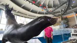 アクアワールド茨城県大洗水族館に投稿された画像（2026/9/27）