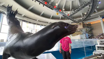 アクアワールド茨城県大洗水族館に投稿された画像（2026/9/27）