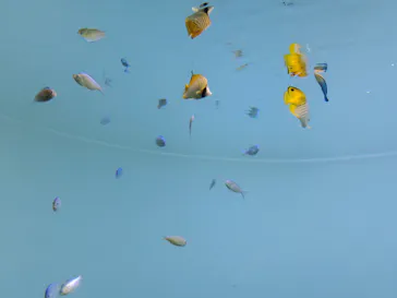 葛西臨海水族園に投稿された画像（2026/9/27）