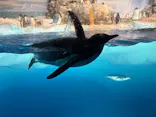名古屋港水族館に投稿された画像（2026/9/27）