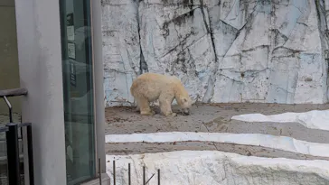 恩賜上野動物園に投稿された画像（2026/9/27）