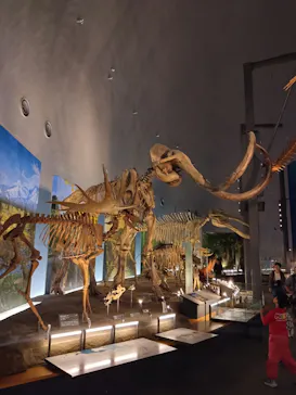 福井県立恐竜博物館に投稿された画像（2026/9/27）