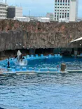名古屋港水族館に投稿された画像（2026/9/27）