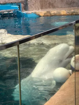 名古屋港水族館に投稿された画像（2026/9/27）