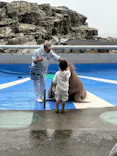 大分マリーンパレス水族館 「うみたまご」に投稿された画像（2026/9/27）
