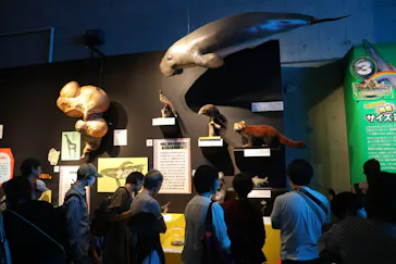 特別展「いきもの超ワールド展　国立科学博物館×ダーウィンが来た！」（国立科学博物館）に投稿された画像（2026/9/27）