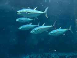 葛西臨海水族園に投稿された画像（2026/9/27）