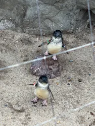 葛西臨海水族園に投稿された画像（2026/9/27）