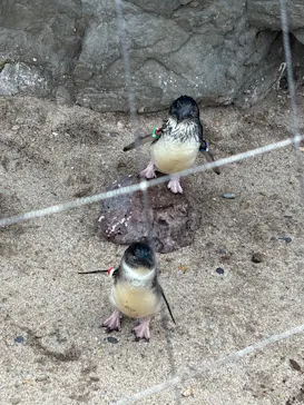 葛西臨海水族園に投稿された画像（2026/9/27）