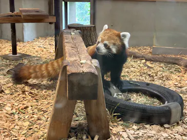 名古屋市東山動植物園に投稿された画像（2026/9/27）