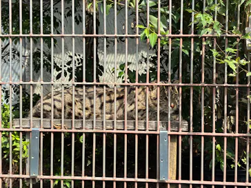 名古屋市東山動植物園に投稿された画像（2026/9/27）