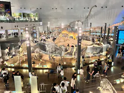 福井県立恐竜博物館に投稿された画像（2026/9/27）