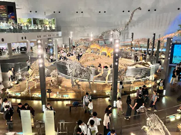 福井県立恐竜博物館に投稿された画像（2026/9/27）