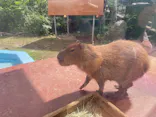 竹島水族館に投稿された画像（2026/9/27）