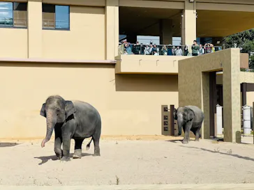 天王寺動物園に投稿された画像（2026/9/27）
