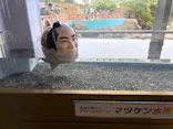 横浜・八景島シーパラダイスに投稿された画像（2026/9/28）